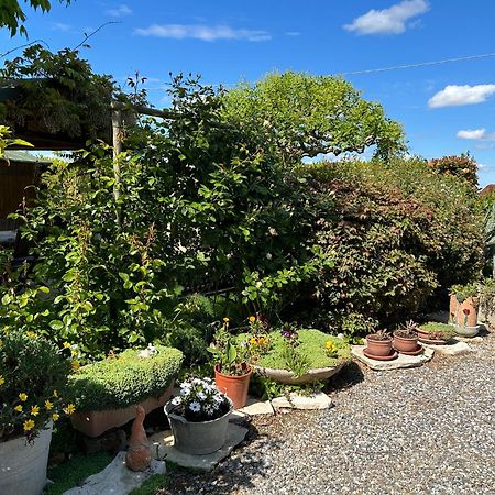 La Casa Di Biba Bed and Breakfast Massa Lombarda Exteriör bild