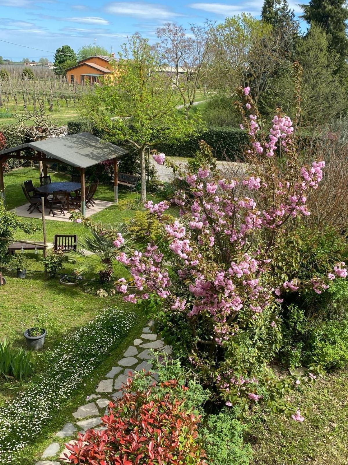 La Casa Di Biba Bed and Breakfast Massa Lombarda Exteriör bild